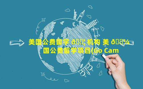 美国公费留学 🐦 机构 美 🌼 国公费留学项目(Go Campus)